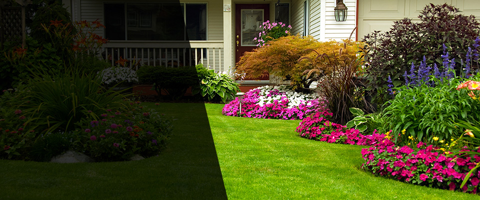 Melrose Landscapers